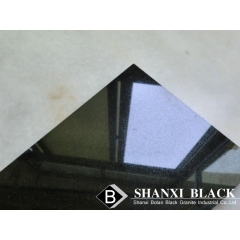 Shanxi Black(Absolute Black)